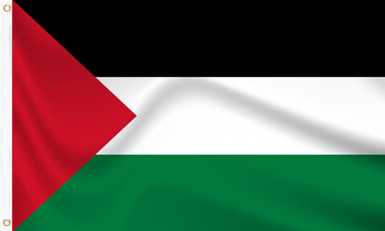 Palestine Solidarity T-Shirt